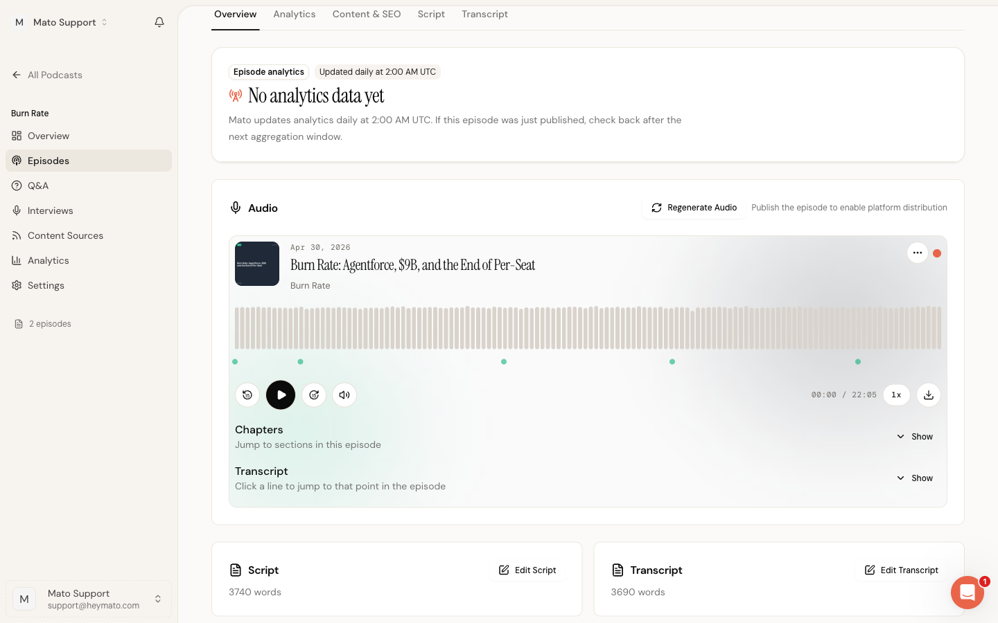 Audio section showing the workspace audio player before public embed controls are available